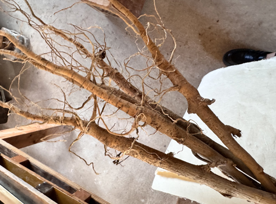 萩姫の湯 栄楽館